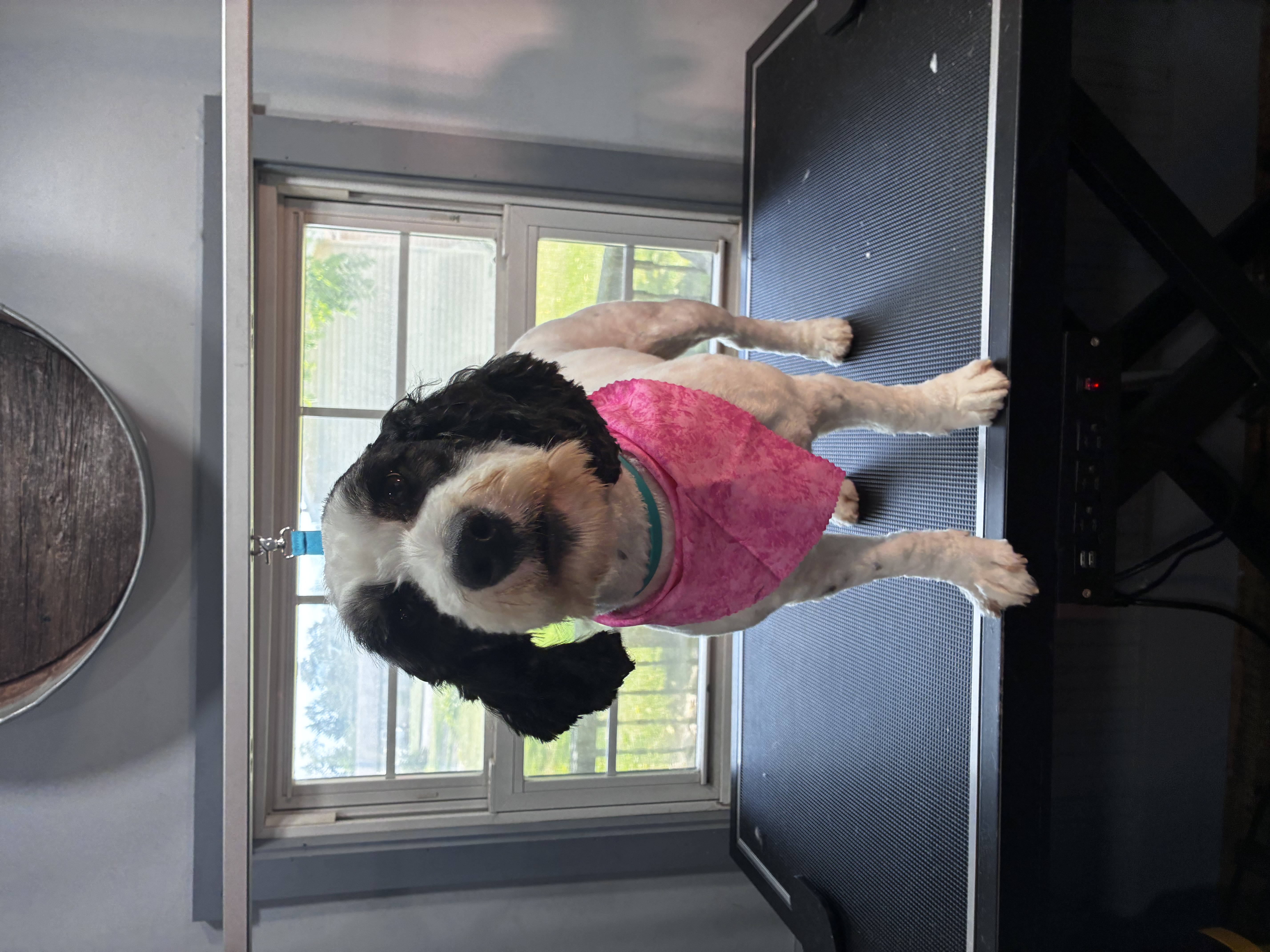 After grooming
